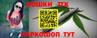 индика Будённовск