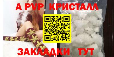 индика Будённовск